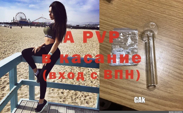 spice Козельск