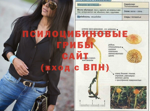 spice Козельск