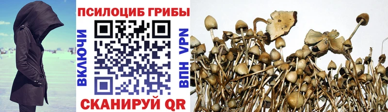 Псилоцибиновые грибы ЛСД  Купить закладки  Подольск 